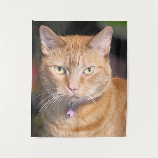 Cat Tapestry (Front)