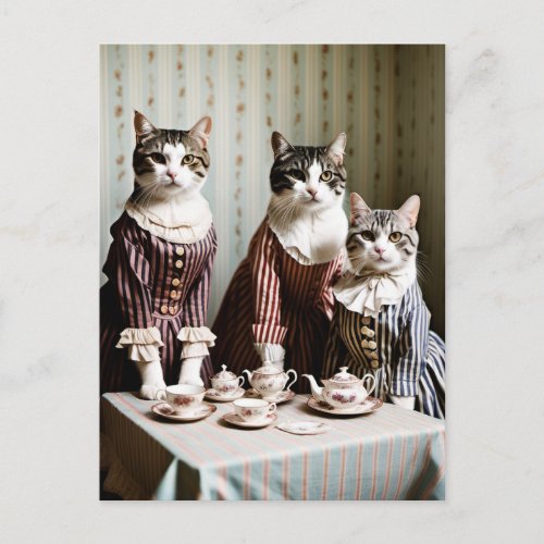 Cat Tea Party Postcard