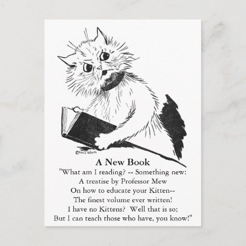 Cat Teacher with Educational Book Postcard