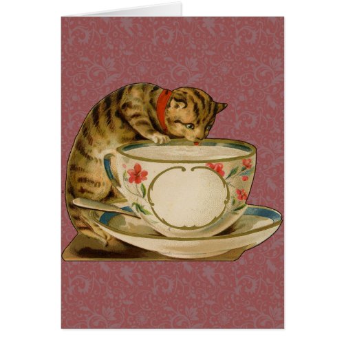 Cat Teacup Cute Vintage Victorian