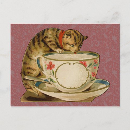 Cat Teacup Cute Vintage Victorian Postcard