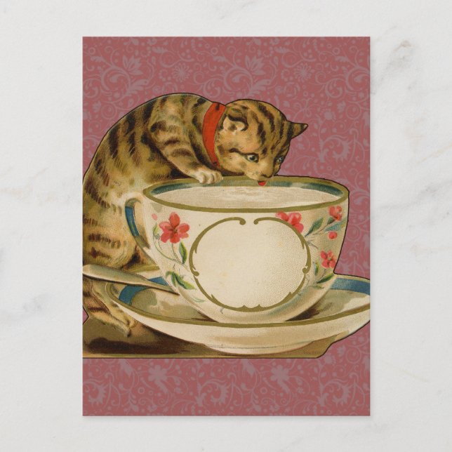 Cat Teacup Cute Vintage Victorian Postcard (Front)