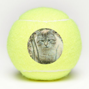 Cat Tennis Balls