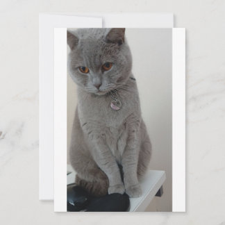 cat test invitation