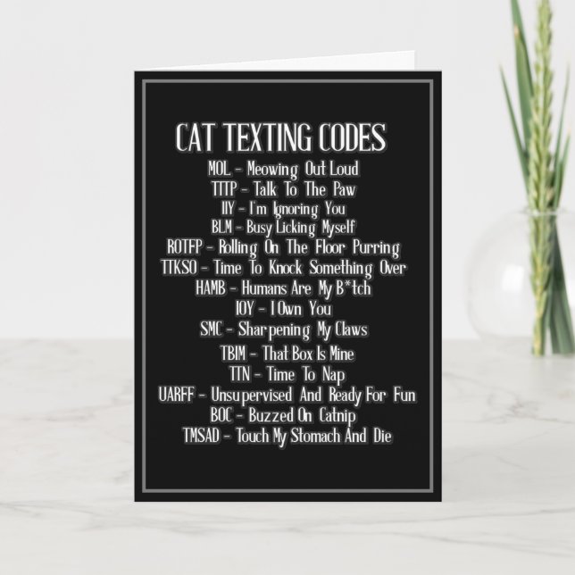 Cat Texting Codes Humor Card (Front)