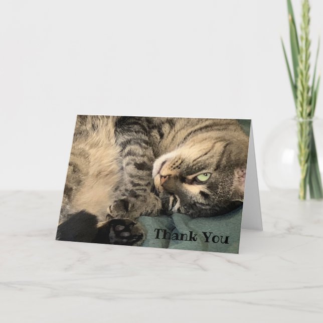 Cat Thank You Card (Front)