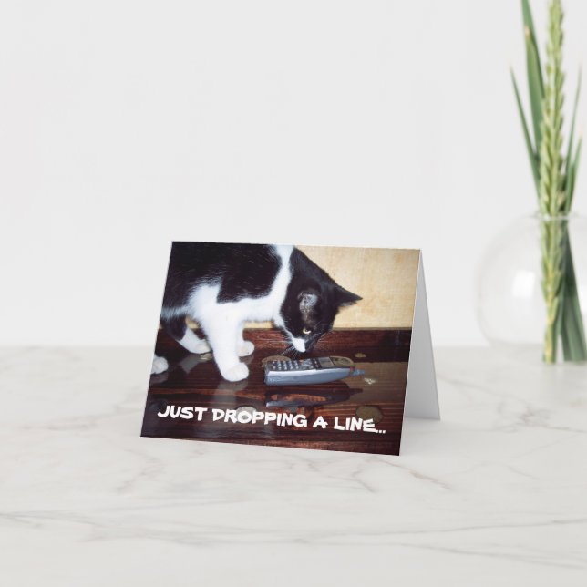 CAT THANK YOU CARD (Front)