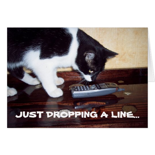 CAT THANK YOU CARD