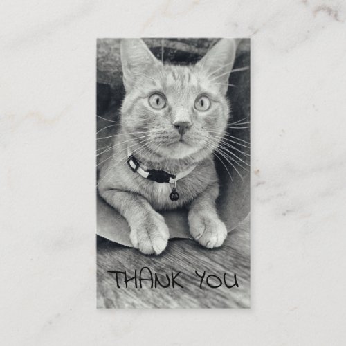 Cat Thank You Customer Appreciation  Gratitude Business Card