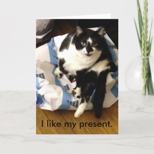 Cat Thank you for my Christmas present cards