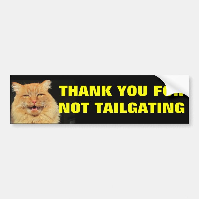 Cat thanks you for not tailgating bumper sticker (Front)