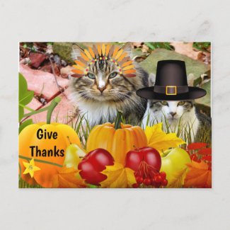 Cat Thanksgiving Pumpkins / From Cat Collage