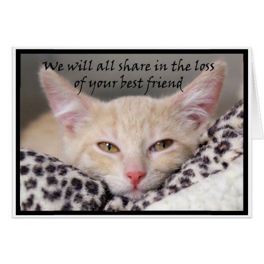 Cat theme bereavement card for loss of a pet (Front Horizontal)