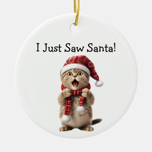 Cat Themed Christmas Cheer Cat Ornament (Front)