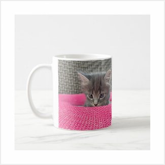 Cat-Themed Office Humor Gifts