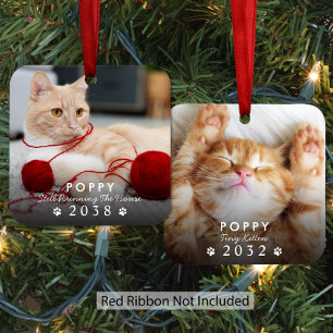 Cat Then And Now Christmas Photo Metal Ornament