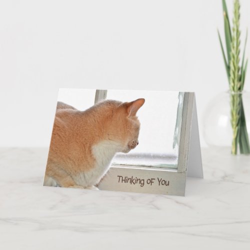 Cat thinking of you card