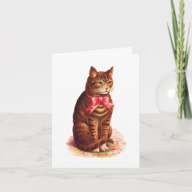 Cat Thinking of You Card - Customizable (Front)
