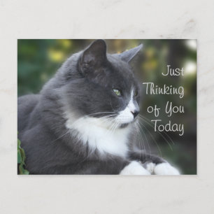 Cat Thinking of You card or any occasion