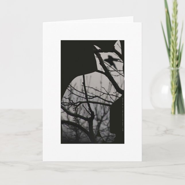 Cat Thought Card (Front)