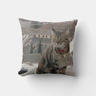 Cat Throw Cushion 41 cm x 41 cm