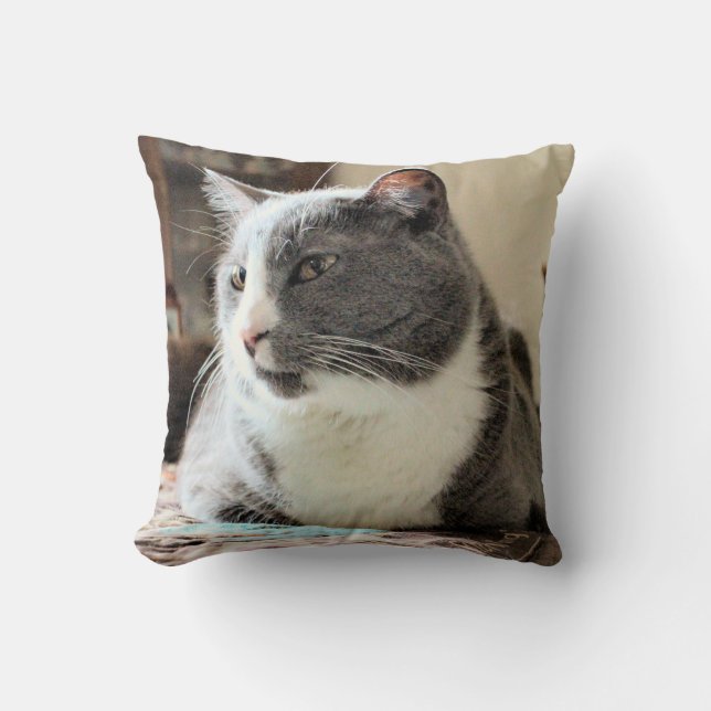 Cat Throw Pillow (Front)