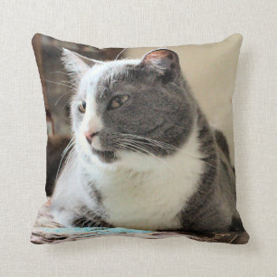 Cat Throw Pillow