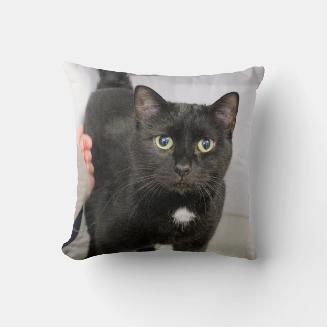 Cat Throw Pillow (Front)