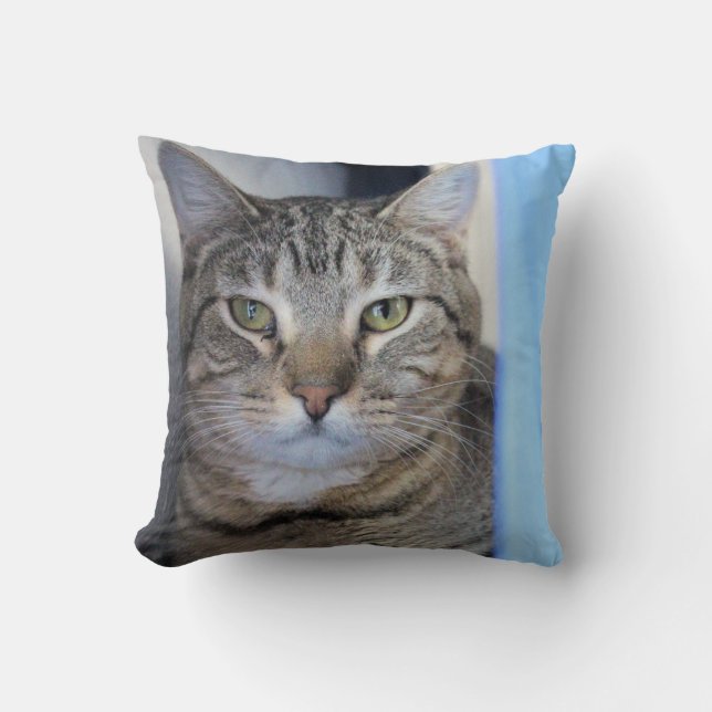 Cat Throw Pillow (Front)