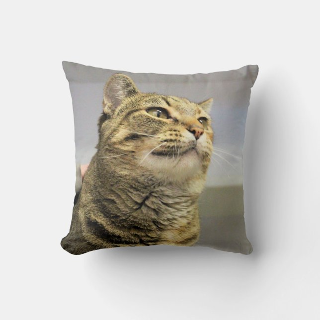 Cat Throw Pillow (Front)