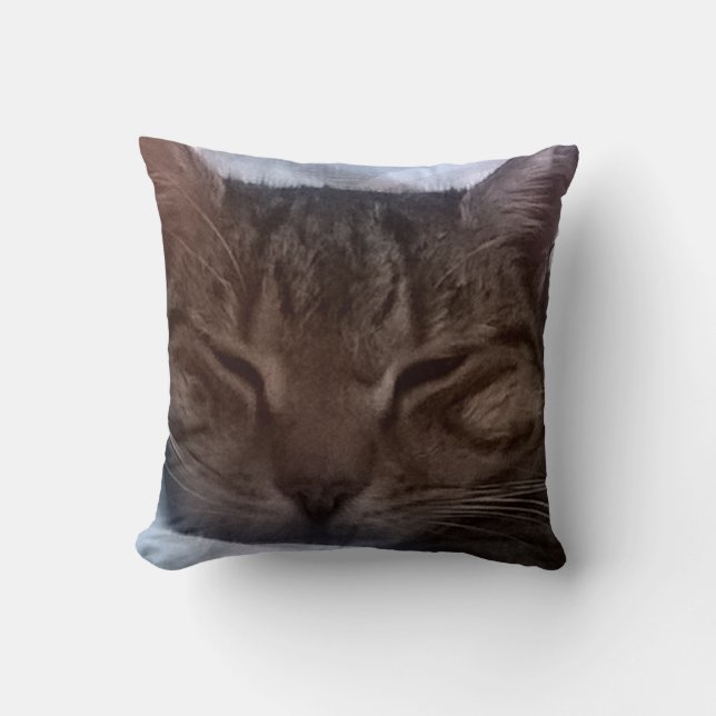 Cat Throw Pillow (Front)