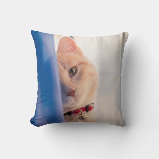 Cat  throw pillow (Front)