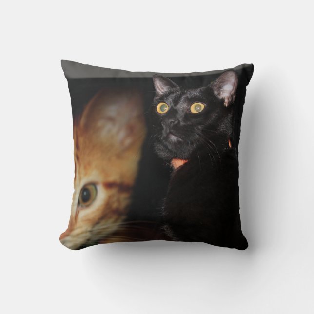 Cat Throw Pillow (Front)