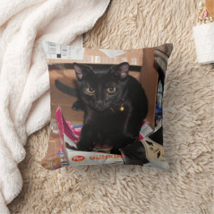 Cat Throw Pillow