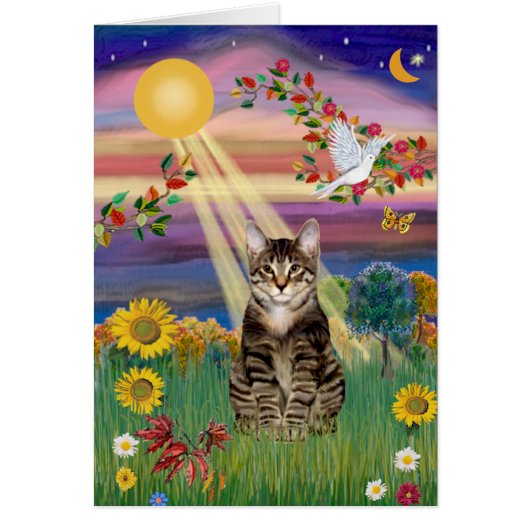Cat (Tiger) - Autumn Sun Cards (Front)