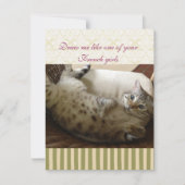 Cat Titanic Quote Brocade Stripe Notecard (Front)