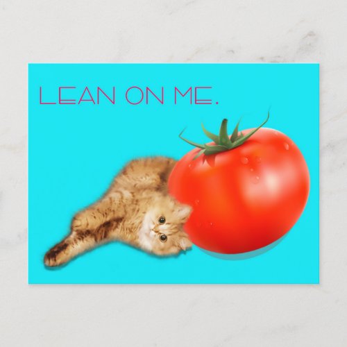 Cat  Tomato Postcard 　猫トマト　ポストカード