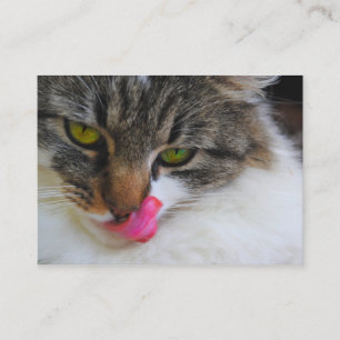 Cat Tongue Photograph Business Cards