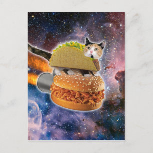Cat traveling on a rocketburger postcard