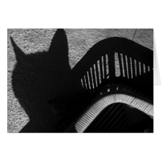 Cat Tray (Front Horizontal)