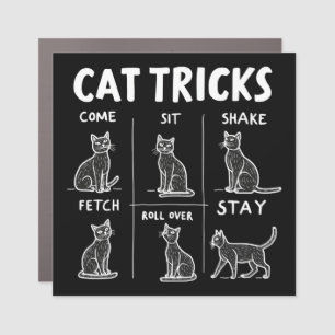 Cat Tricks Purr-Fectly Hilarious Feline Fun Car Magnet