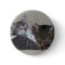 Cat Trio Button