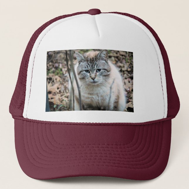 cat trucker hat (Front)