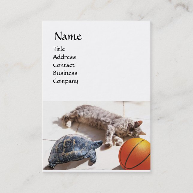 CAT ,TURTLE  AND BASKETBALL BUSINESS CARD (Front)