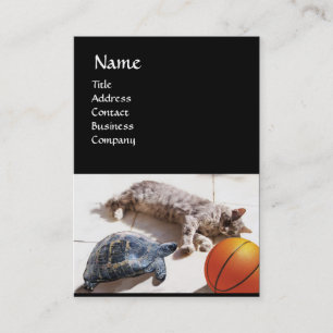 CAT ,TURTLE  AND BASKETBALL BUSINESS CARD