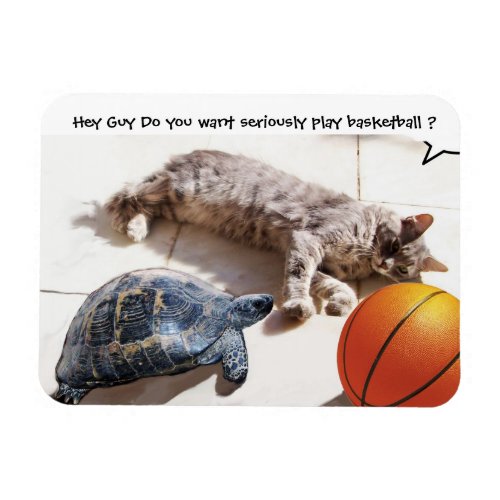 CAT TURTLE  AND BASKETBALL MAGNET