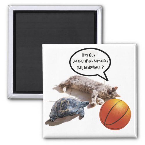 CAT TURTLE AND BASKETBALL MAGNET