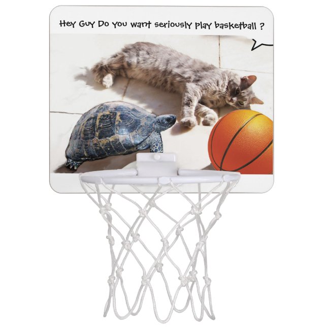 CAT ,TURTLE AND BASKETBALL MINI BASKETBALL HOOP (Front)