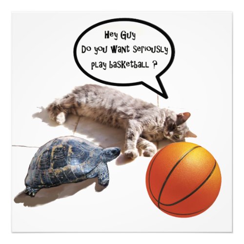 CAT TURTLE  AND BASKETBALL PHOTO PRINT