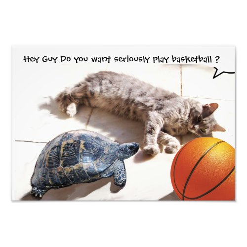 CAT TURTLE  AND BASKETBALL PHOTO PRINT